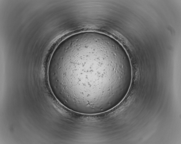 X0000112781027200908271659