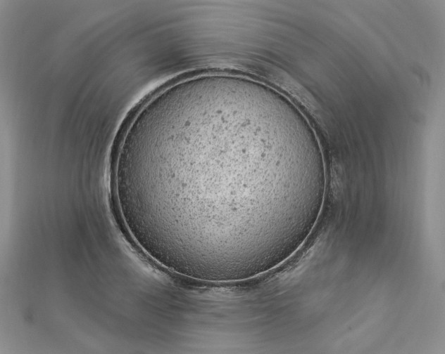 X0000112781028200908271659