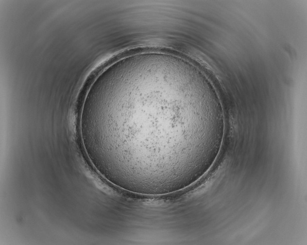 X0000112781029200908271659