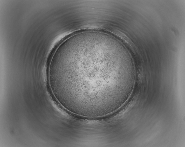 X0000112781030200908271659