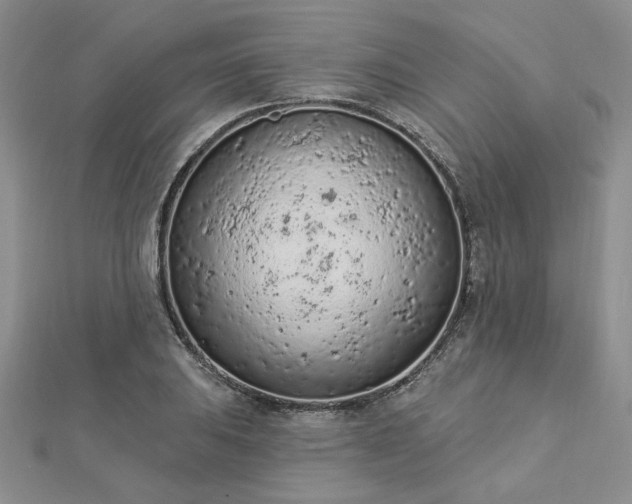 X0000112781031200908271659