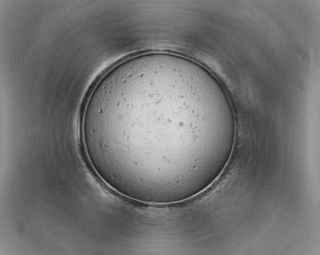 X0000112781032200908271659