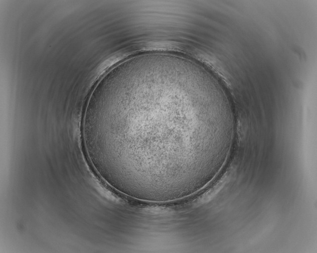 X0000112781033200908271659