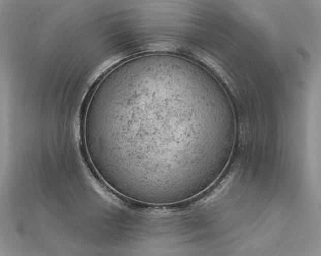 X0000112781034200908271659