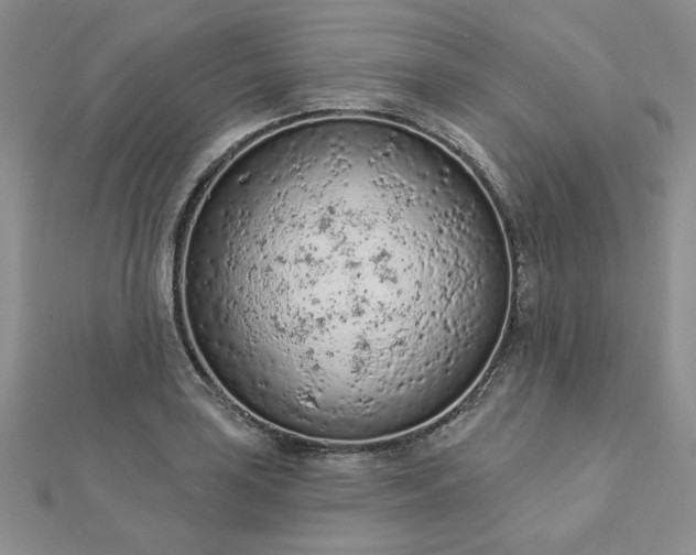 X0000112781035200908271659