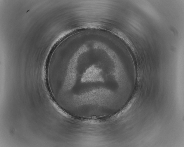 X0000112781037200908271659