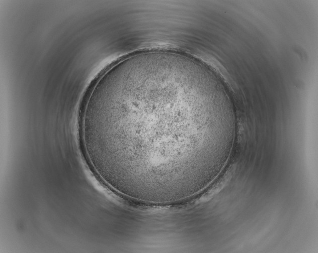 X0000112781038200908271659