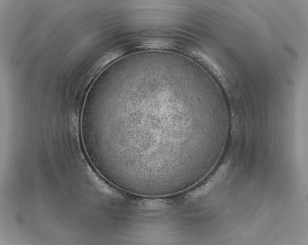 X0000112781041200908271659