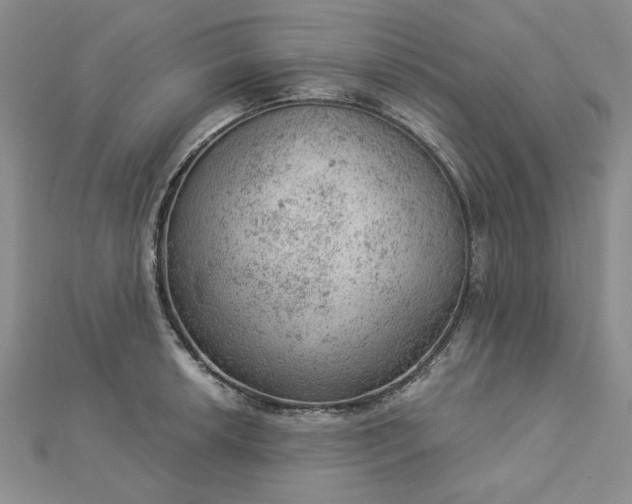 X0000112781042200908271659