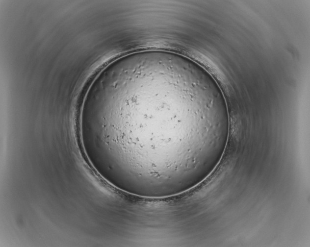 X0000112781043200908271659