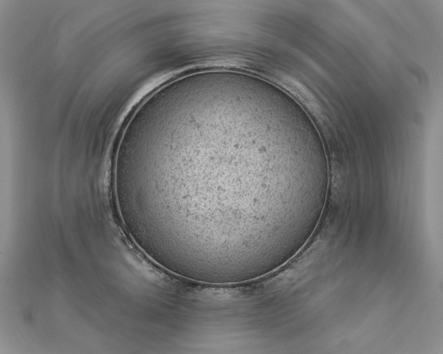 X0000112781044200908271659