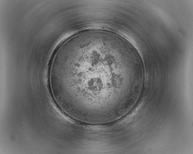 X0000112781045200908271659