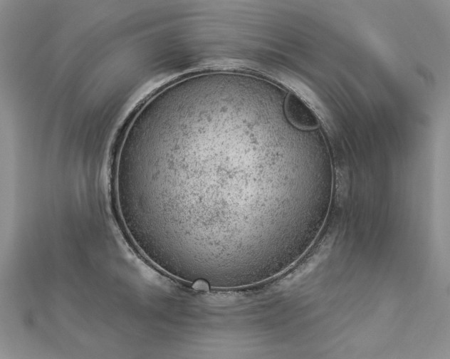 X0000112781046200908271659