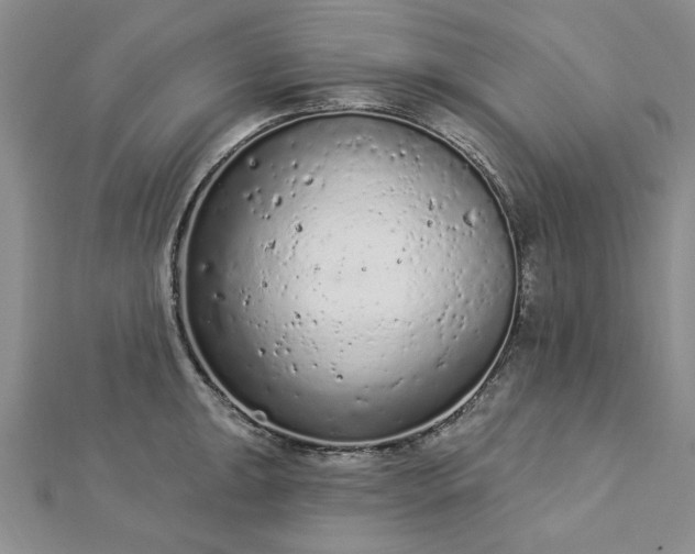 X0000112781047200908271659