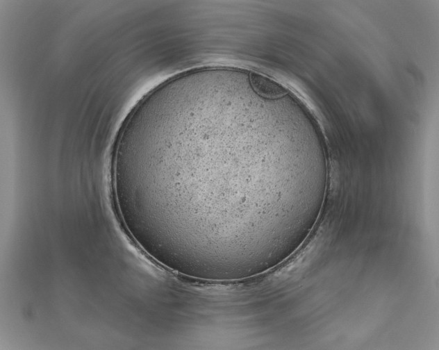 X0000112781048200908271659