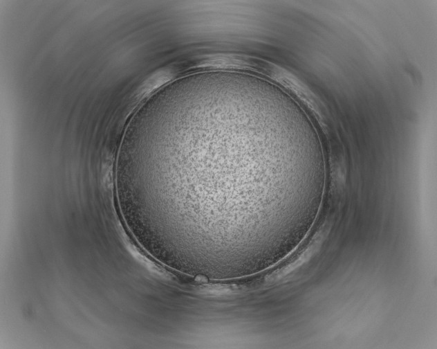 X0000112781049200908271659