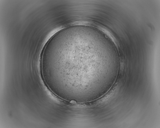 X0000112781050200908271659