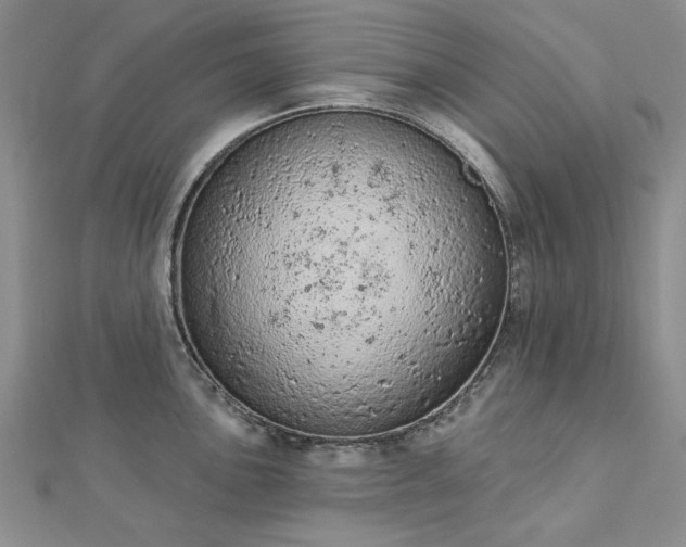 X0000112781051200908271659