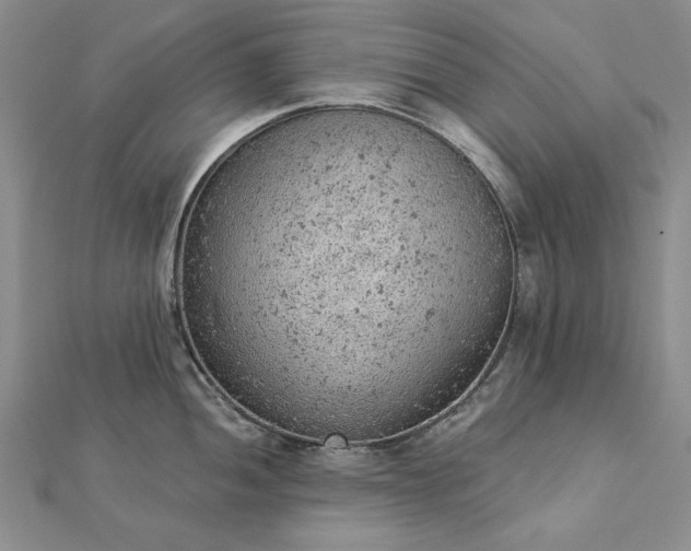 X0000112781052200908271659