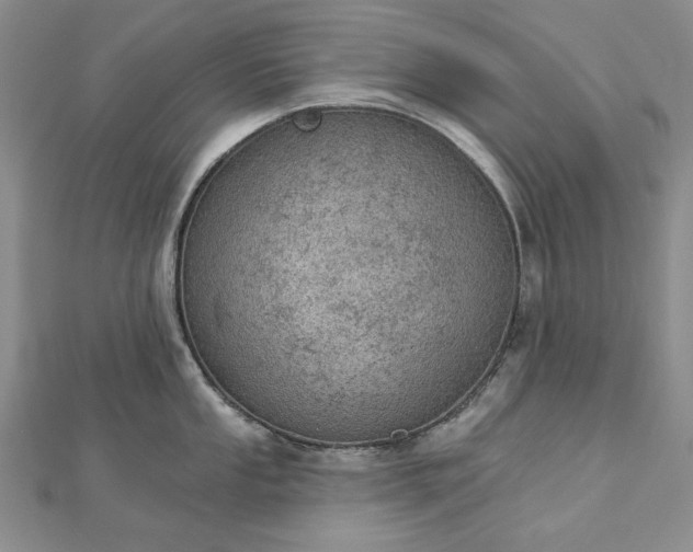 X0000112781053200908271659