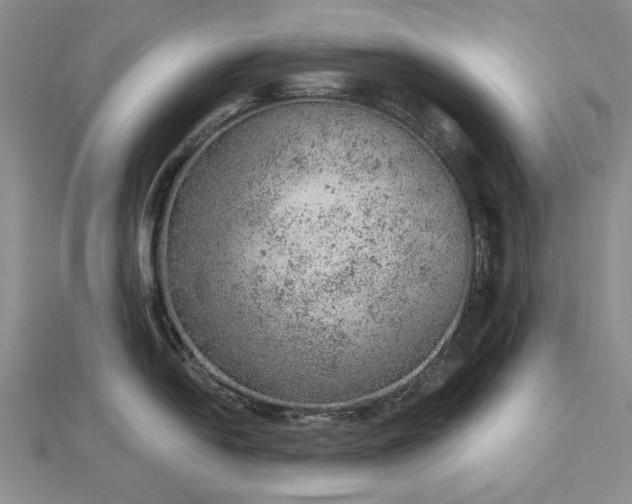 X0000112781054200908271659