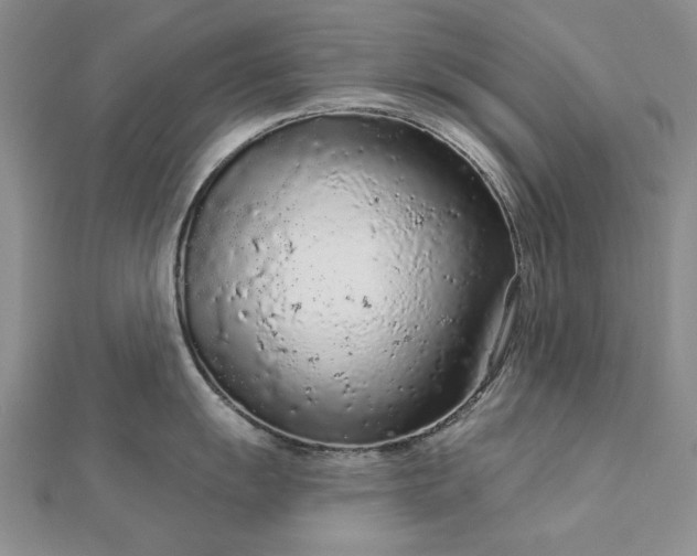 X0000112781055200908271659