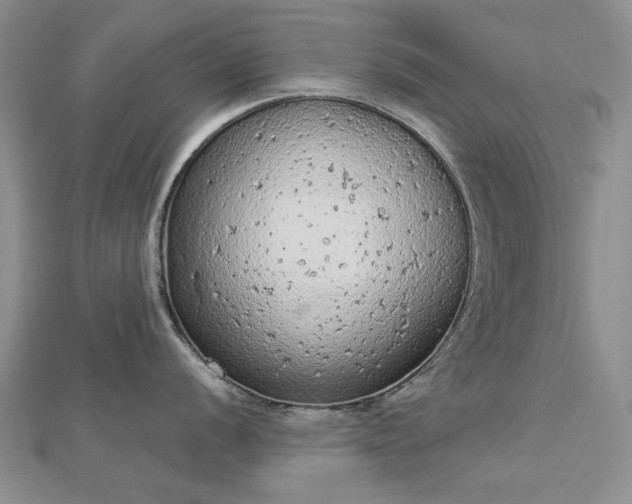 X0000112781056200908271659