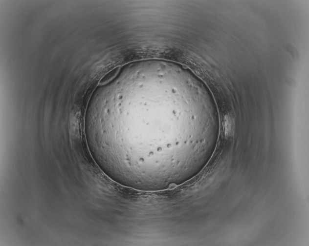 X0000112781059200908271659