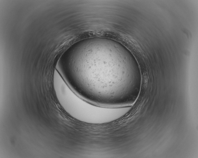 X0000112781060200908271659