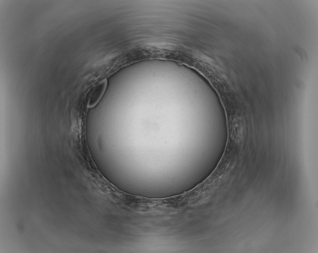 X0000112781061200908271659