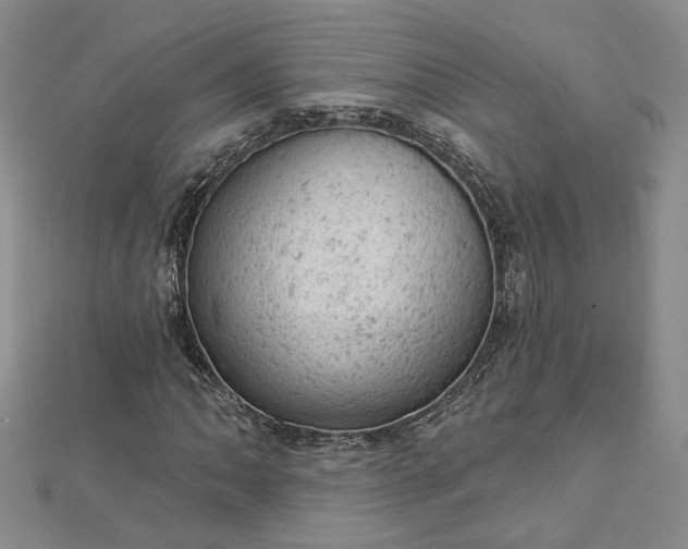 X0000112781062200908271659