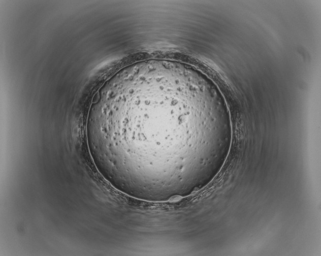 X0000112781063200908271658