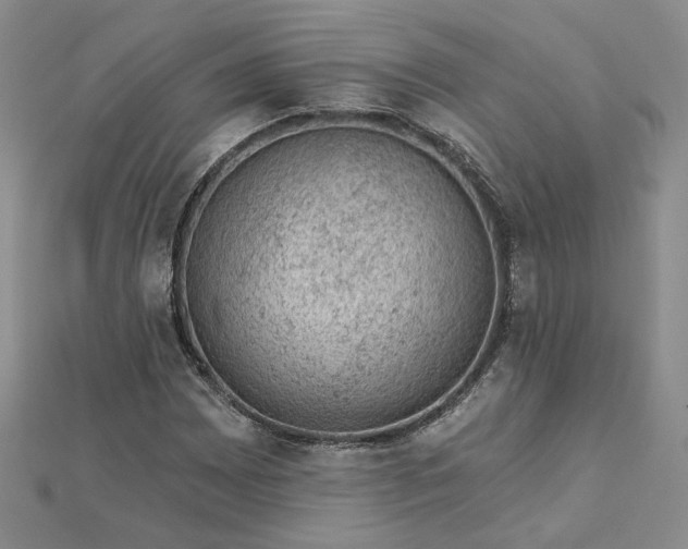 X0000112781065200908271658