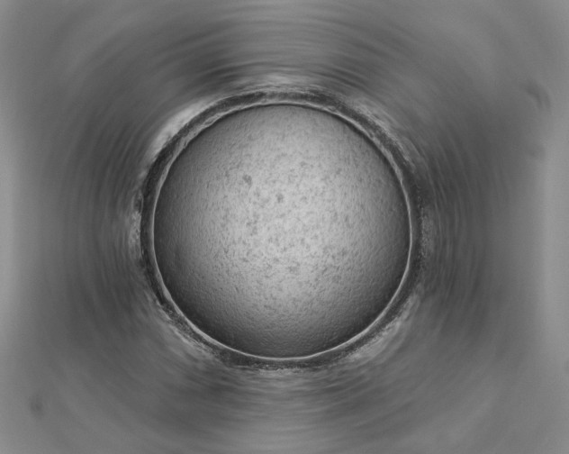 X0000112781066200908271658