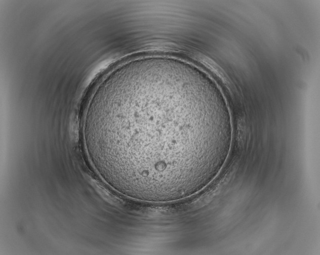 X0000112781067200908271658