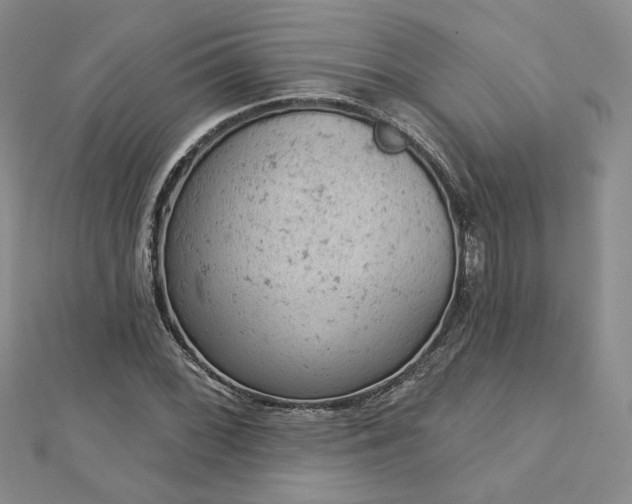 X0000112781068200908271658