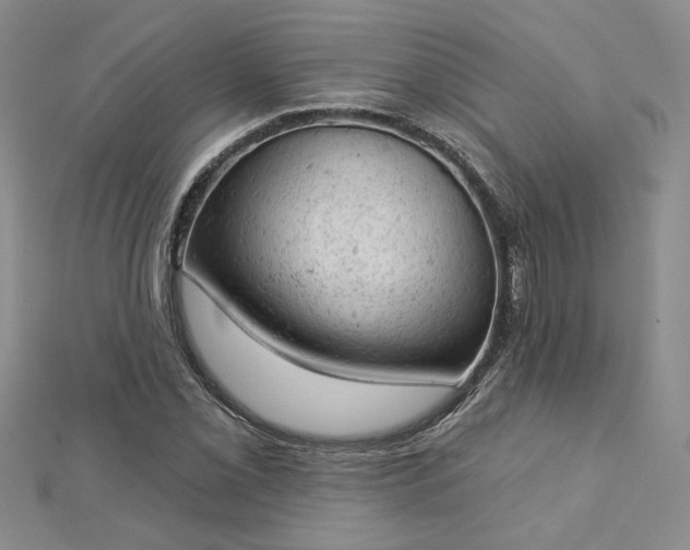 X0000112781069200908271658