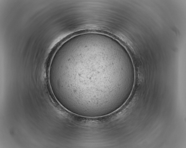 X0000112781070200908271658