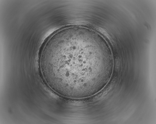 X0000112781071200908271658