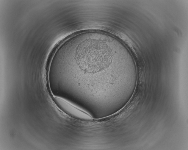 X0000112781072200908271658