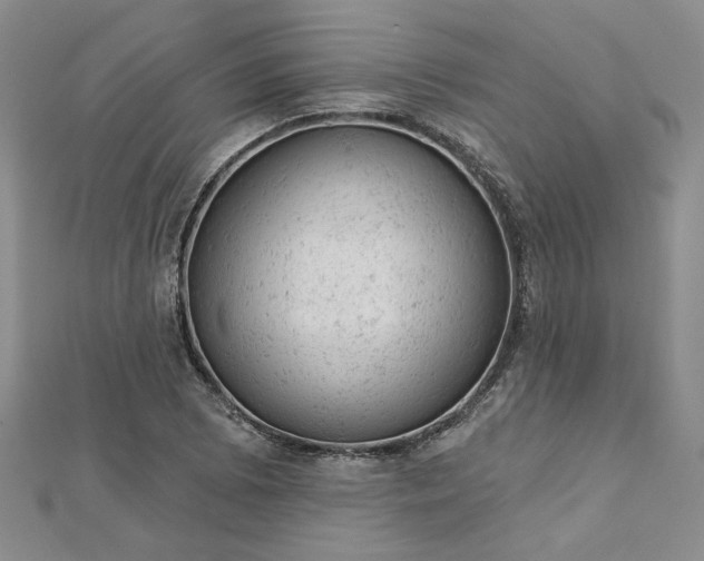 X0000112781073200908271658