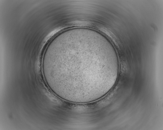 X0000112781074200908271658