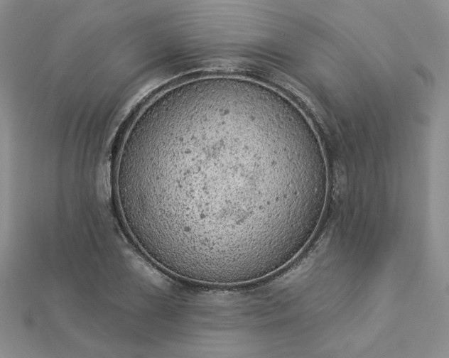 X0000112781075200908271658