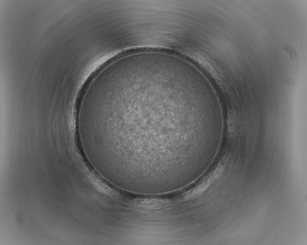 X0000112781077200908271658