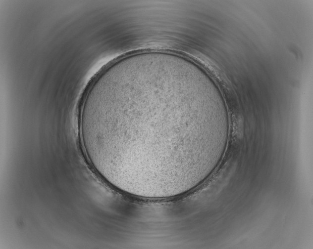 X0000112781078200908271658