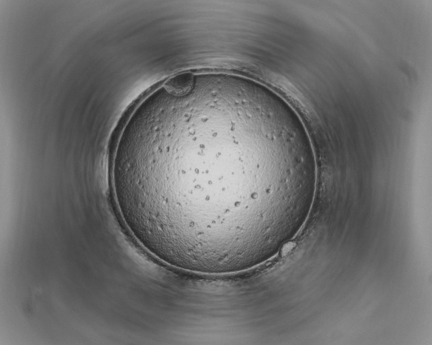 X0000112781079200908271658