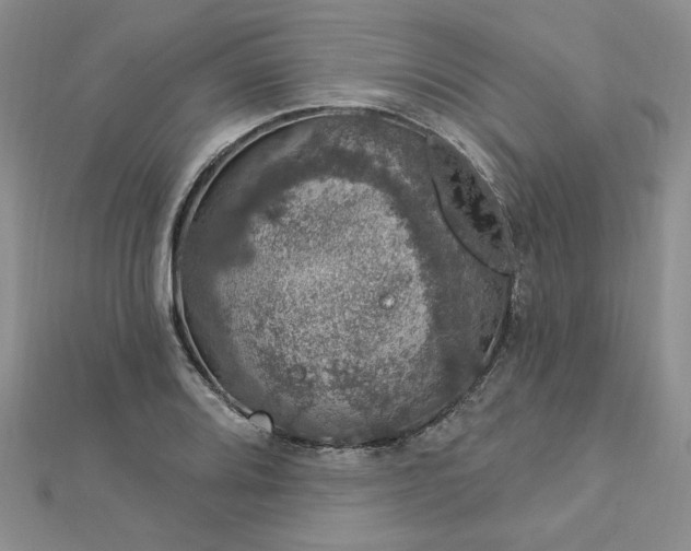 X0000112781080200908271658