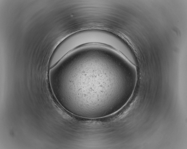 X0000112781081200908271658