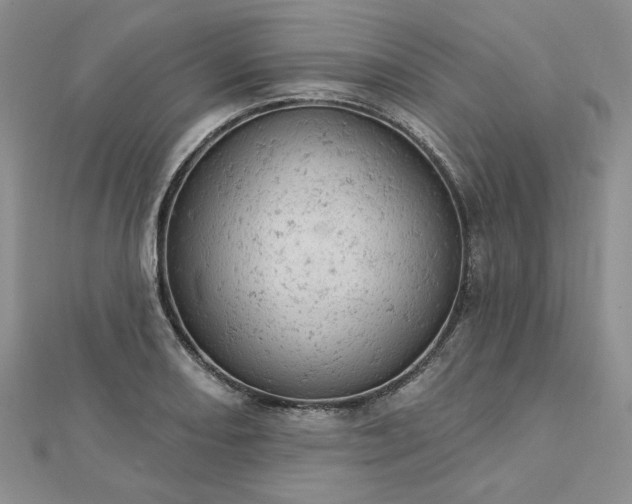 X0000112781082200908271658