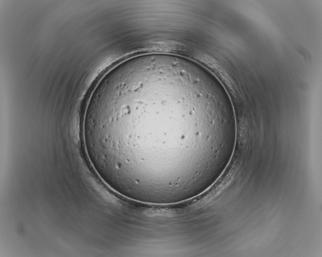 X0000112781083200908271658